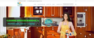 chicago cleaning service website