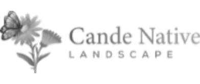 cande native landscape